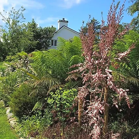 לינה וארוחת בוקר Ballycommane House & Garden Durrus