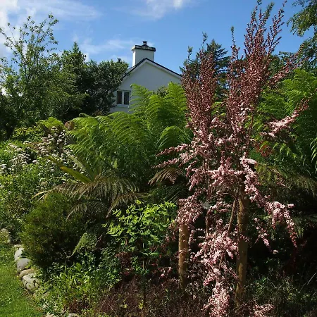 Ballycommane House&garden Couette-café *