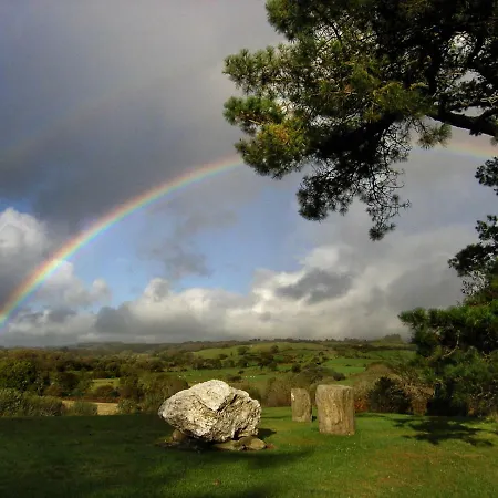 Alojamento de Acomodação e Pequeno-almoço Ballycommane House & Garden
