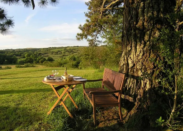 Ballycommane House & Garden