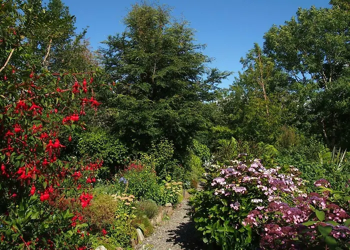 Bed and Breakfast Ballycommane House & Garden