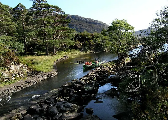 Bed and Breakfast Ballycommane House & Garden
