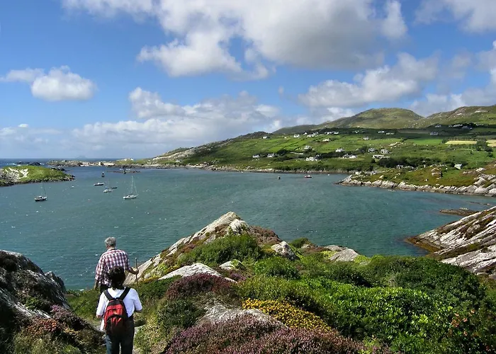 Bed and Breakfast Ballycommane House & Garden 3*