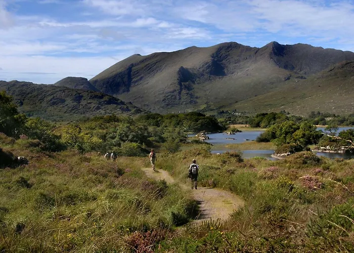 Bed and Breakfast Ballycommane House & Garden 3*