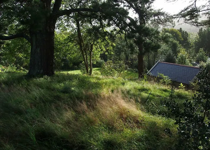 Ballycommane House & Garden