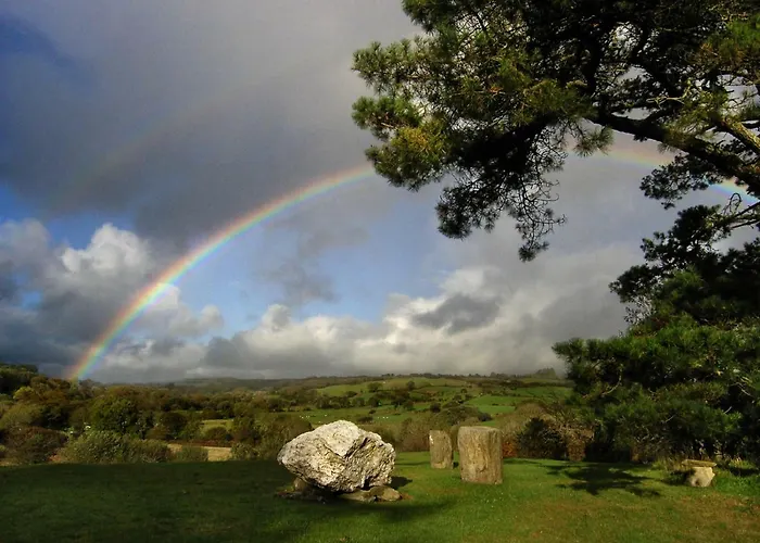 Bed and Breakfast Ballycommane House & Garden