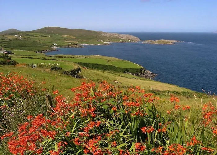 Bed and Breakfast Ballycommane House & Garden