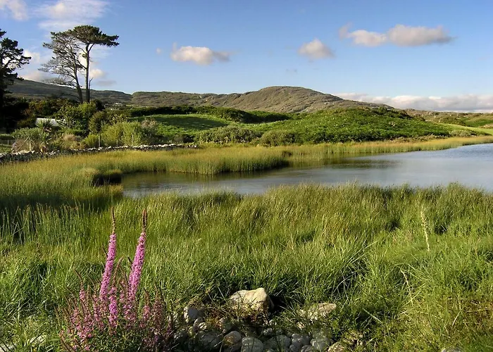 Ballycommane House & Garden 3* Durrus